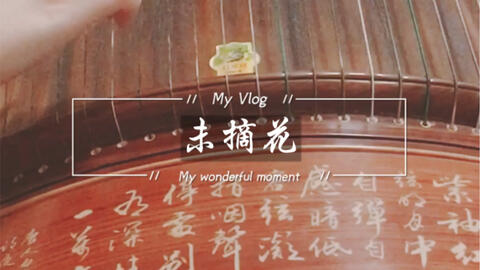 未摘花 花并不言语见惯了痴或傻心里的少年你安然睡吧 哔哩哔哩