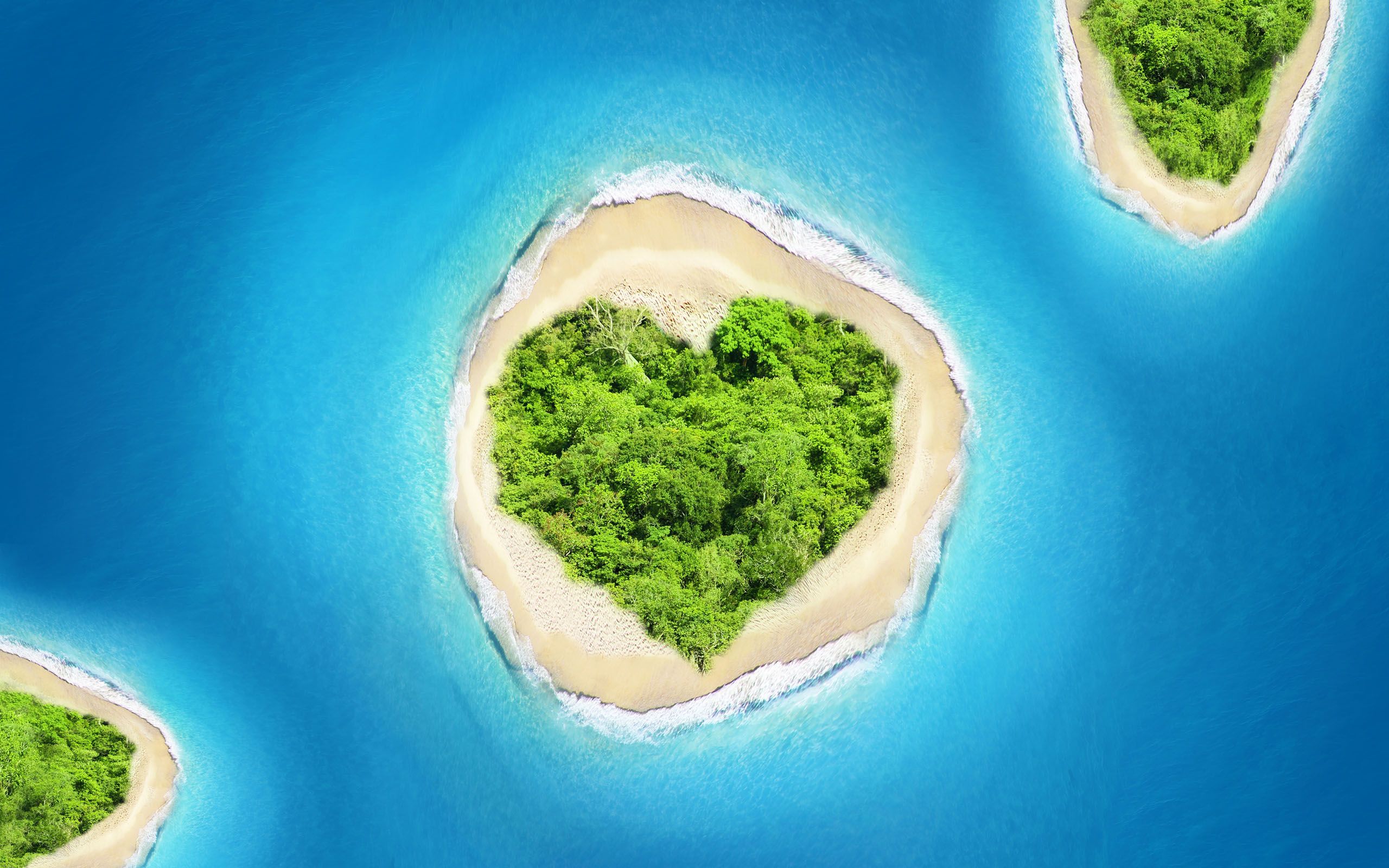 在一座孤岛上如何生存