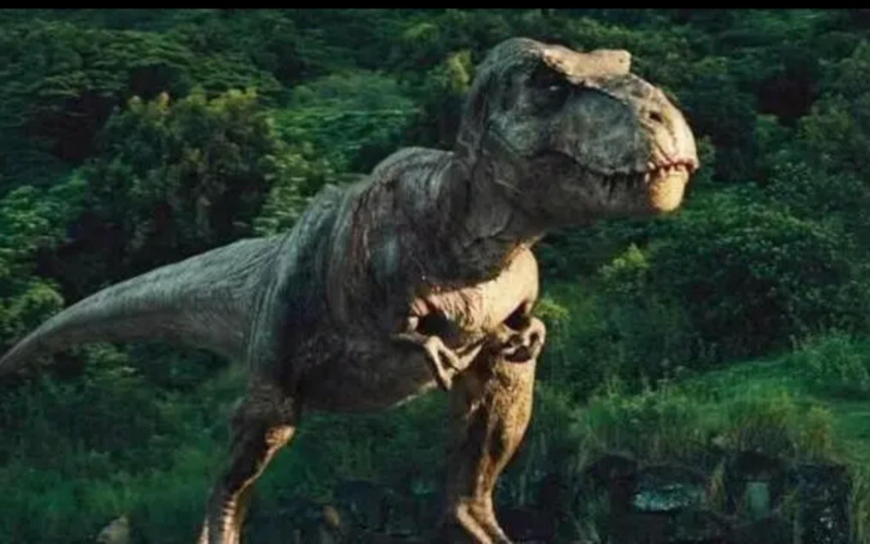 侏罗纪已上映中文版看看霸王龙多么搞笑全程快进看三秒给恐龙其他全程