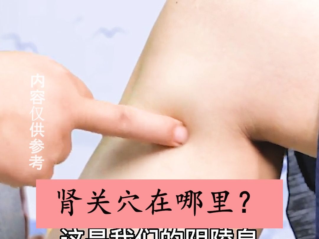 肾关穴在哪里?如何定位?哔哩哔哩bilibili