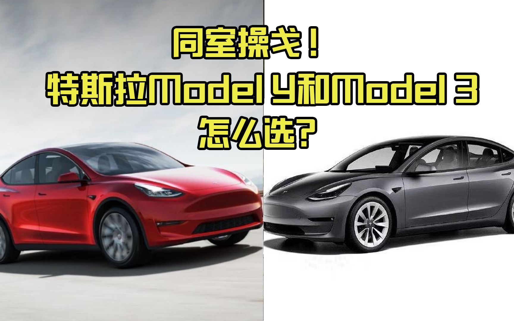 活动作品同室操戈特斯拉的modely和model3怎么选