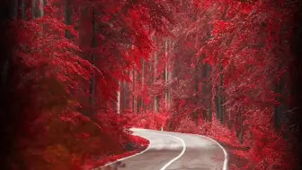 秋天漠漠向昏黑