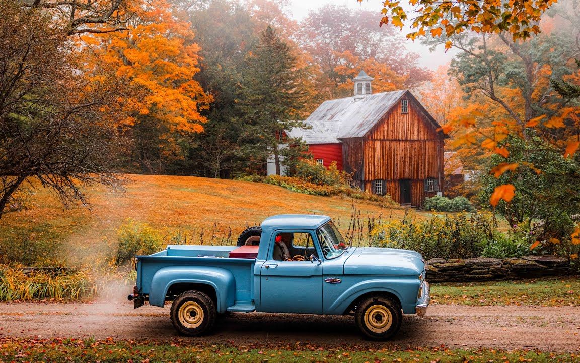 【vlog】美国郊外乡村的简单惬意秋日生活