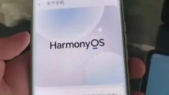 搭载HarmonyOS Next的Mate40Pro