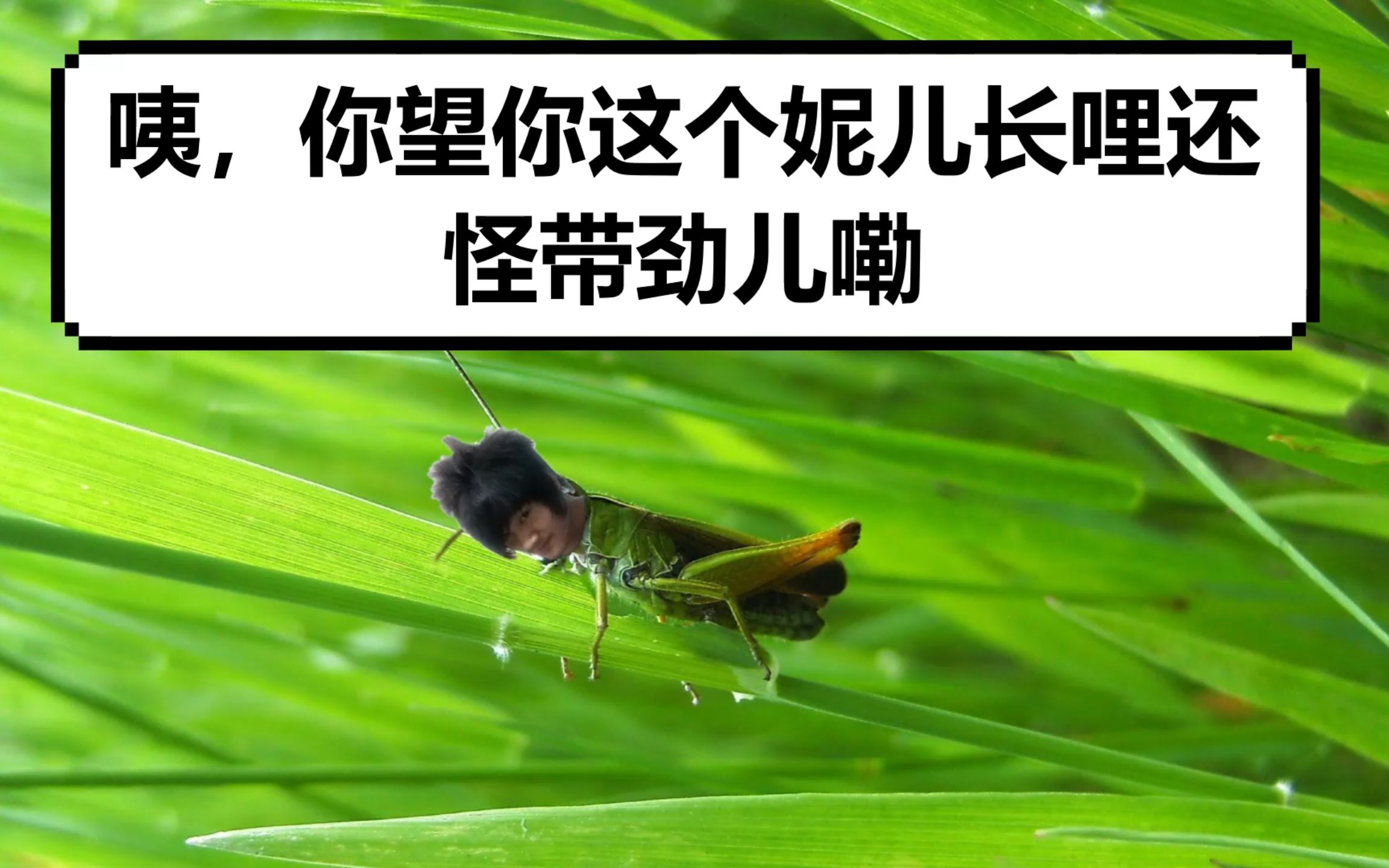 【小丑回魂】辣个妮儿(that girl)