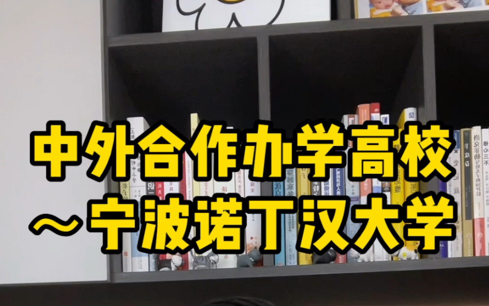 中外合作办学高校介绍~宁波诺丁汉大学哔哩哔哩bilibili