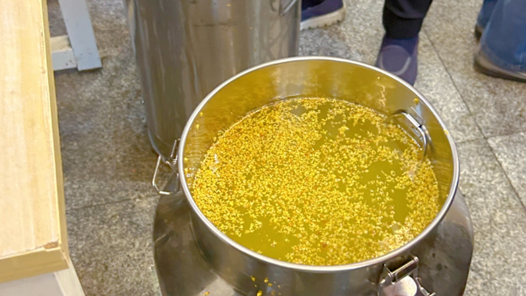 苏州冬至必备桂花冬酿酒,好好喝