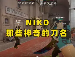 Descargar video: NIKO现用刀皮名称