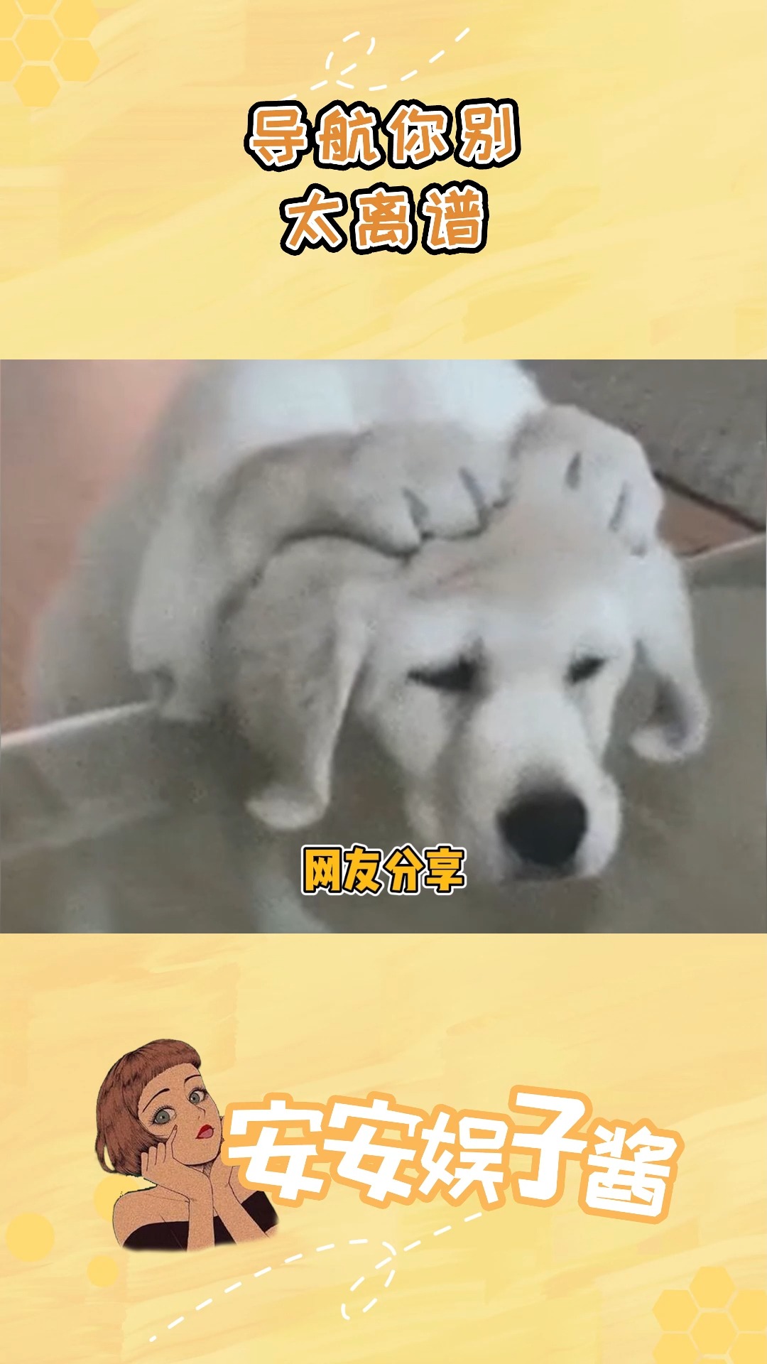 缺德导航名不虚传!!!哔哩哔哩bilibili