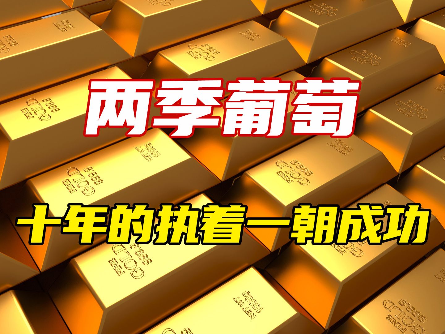致富经栏目致富视频(致富经cctv7视频全集2020)