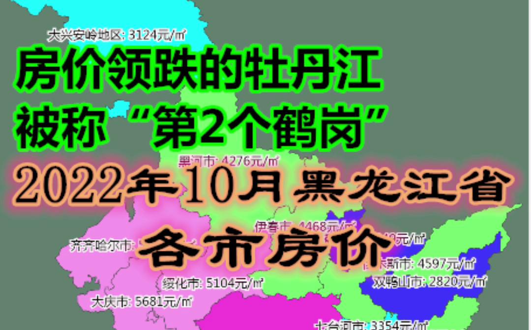 房价领跌70城的牡丹江:被称“第二个鹤岗”,100平带装修房子卖8万!2022年10月黑龙江省各市房价【数据可视化】哔哩哔哩bilibili