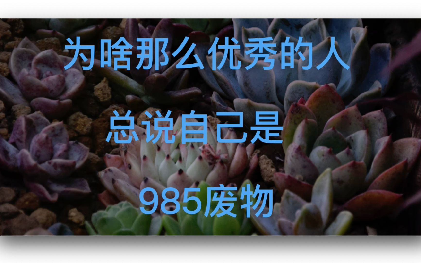 985废物?“学历在20岁的阶段是父母在亲友间炫耀的资本,在30岁时便成了大家嘲讽你一事无成的枷锁.”哔哩哔哩bilibili