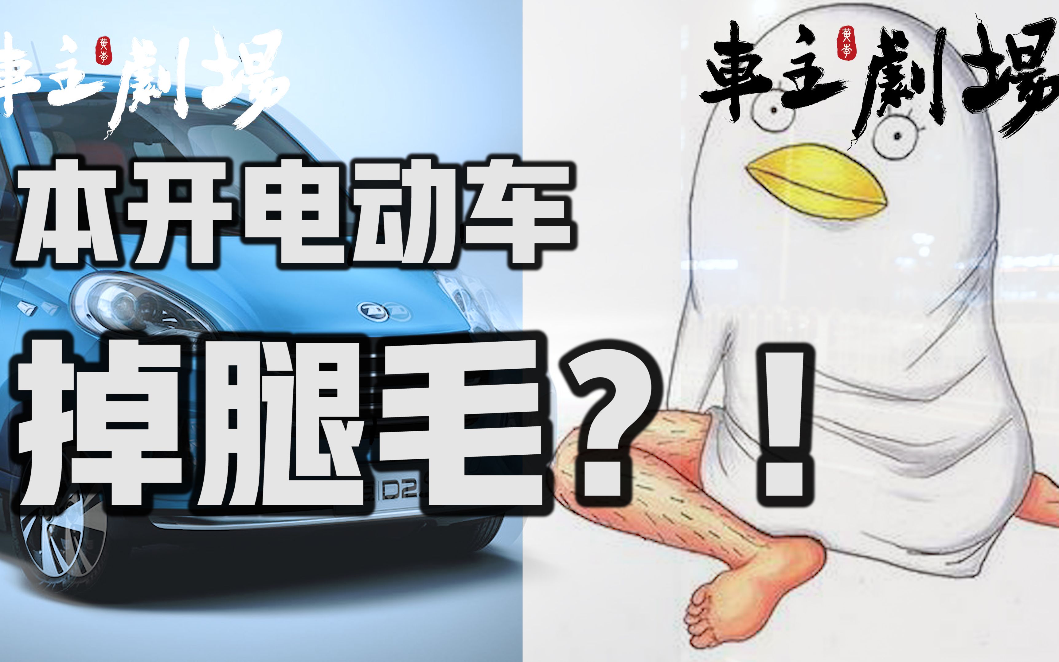 曾经开电动汽车掉腿毛?哔哩哔哩bilibili