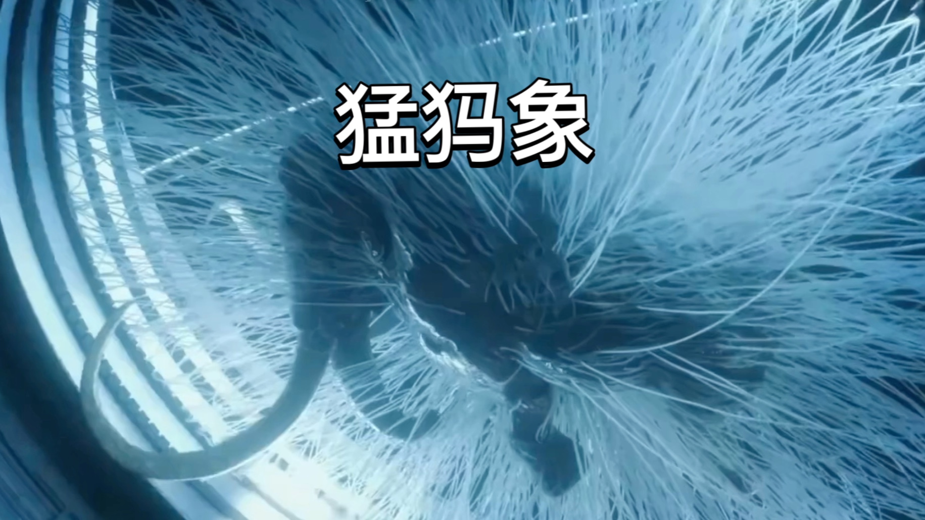 消失4000多年的猛犸象是否能返场成功？对人类是利是弊？未完待续