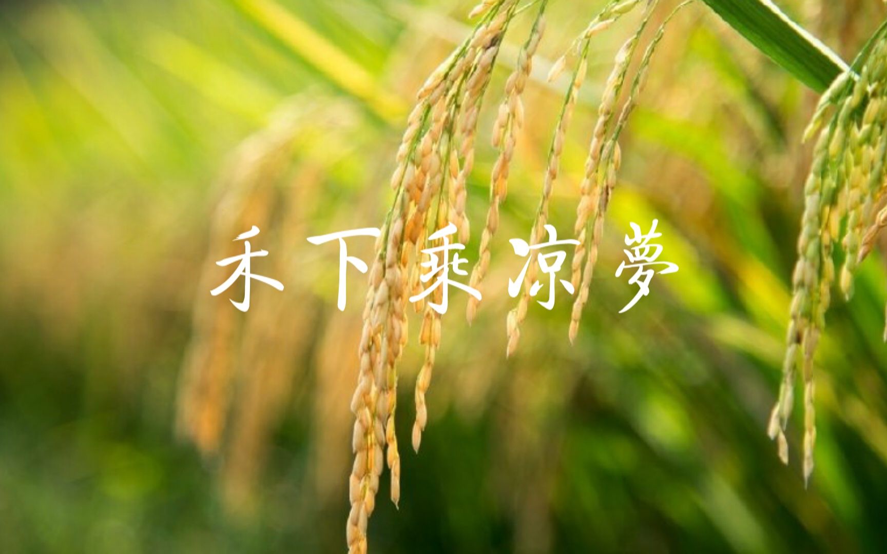 [图]【洛天依原创】禾下乘凉梦——纪念袁隆平爷爷