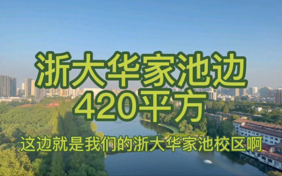 浙大华家池边420平方,简简单单看看哔哩哔哩bilibili