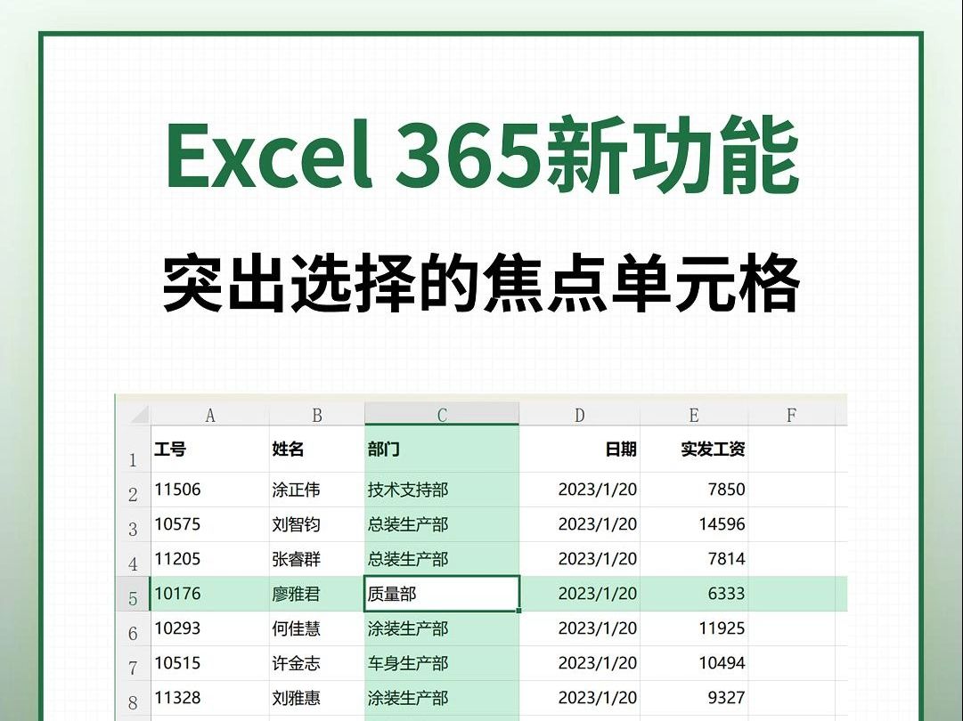 Excel 365新功能:突出选择的焦点单元格哔哩哔哩bilibili