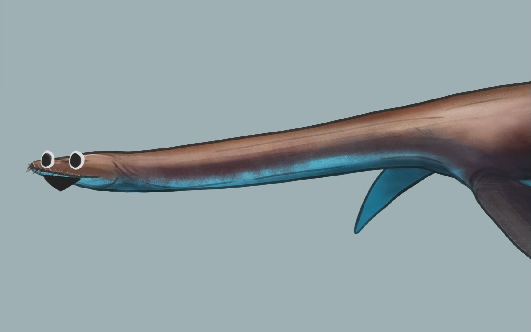 长颈蛇颈龙(Plesiosaurus dolichodeirus)绘画过程哔哩哔哩bilibili