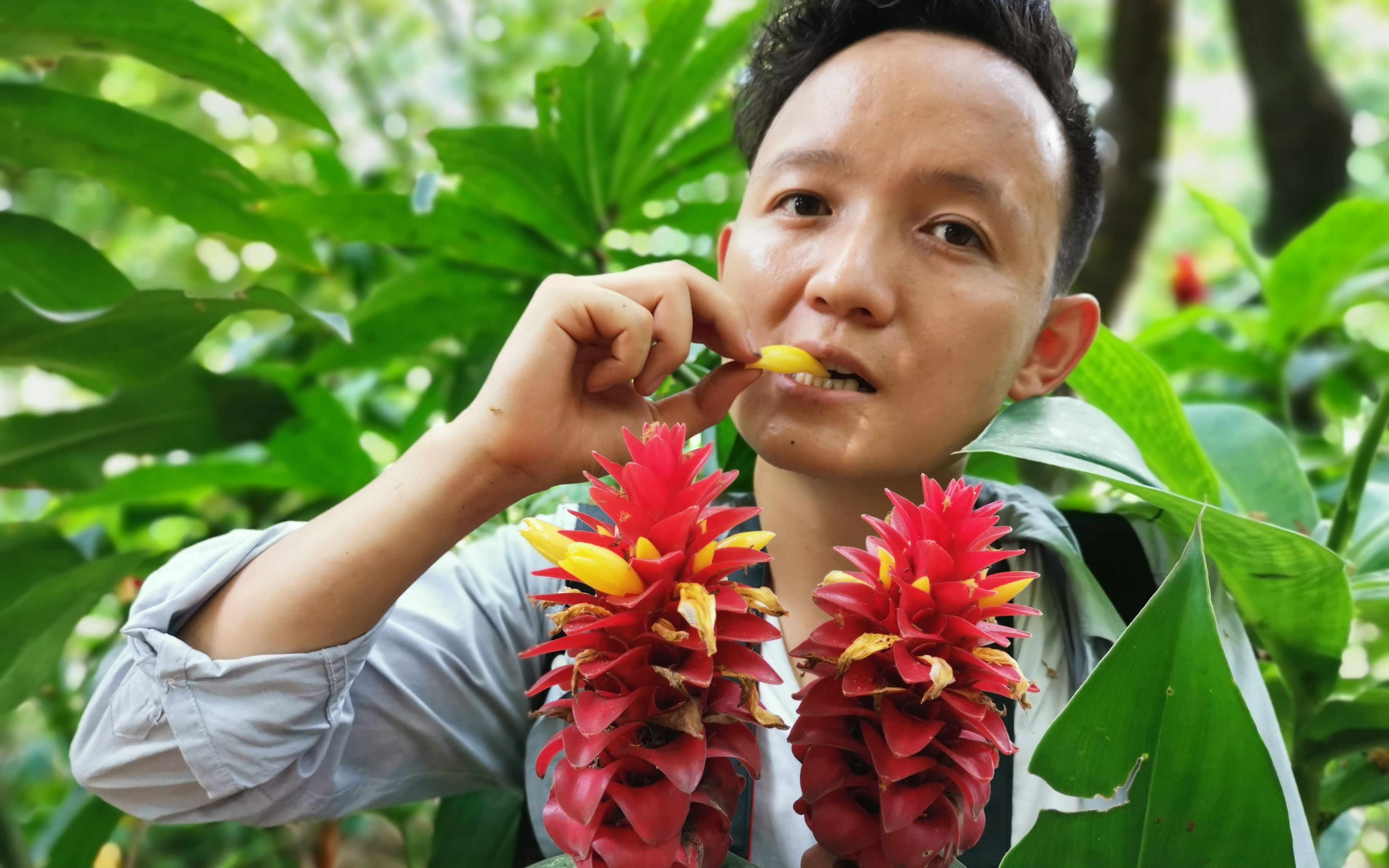 活动【水果猎人】雨林荒野迷路,小伙吃奇花异草求生!