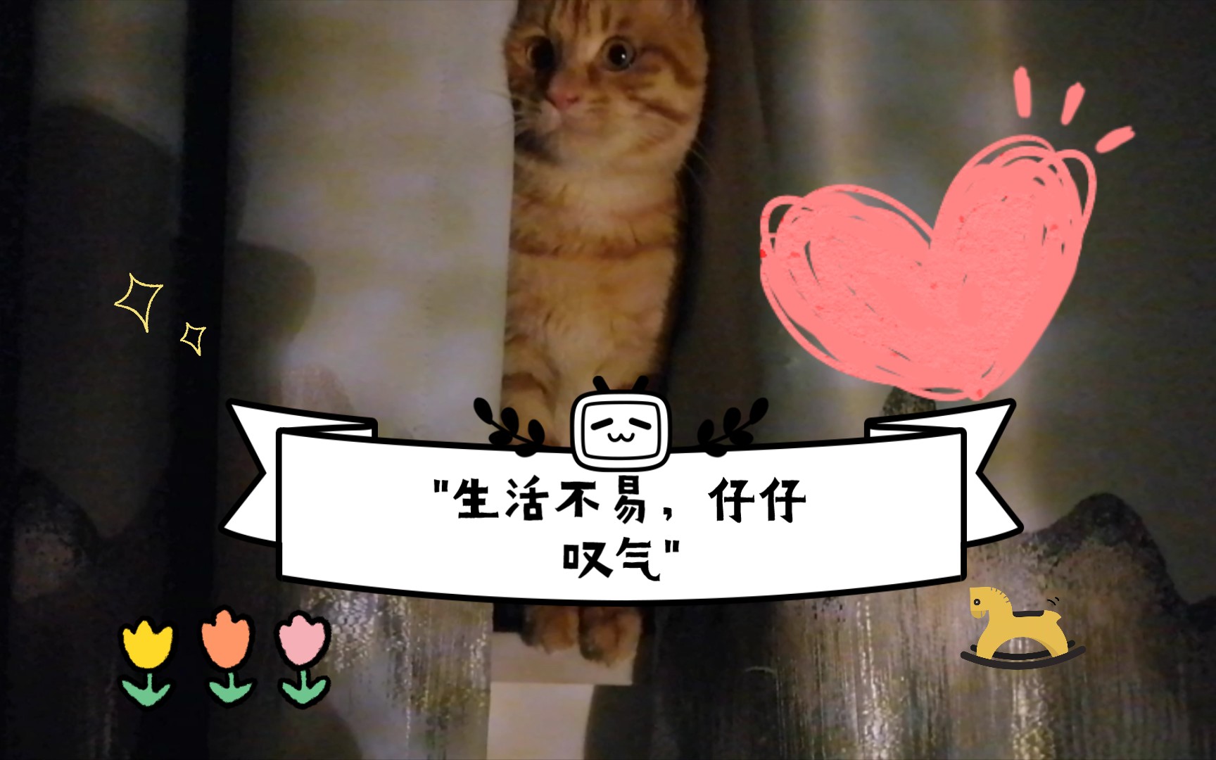 生活不易,仔仔叹气