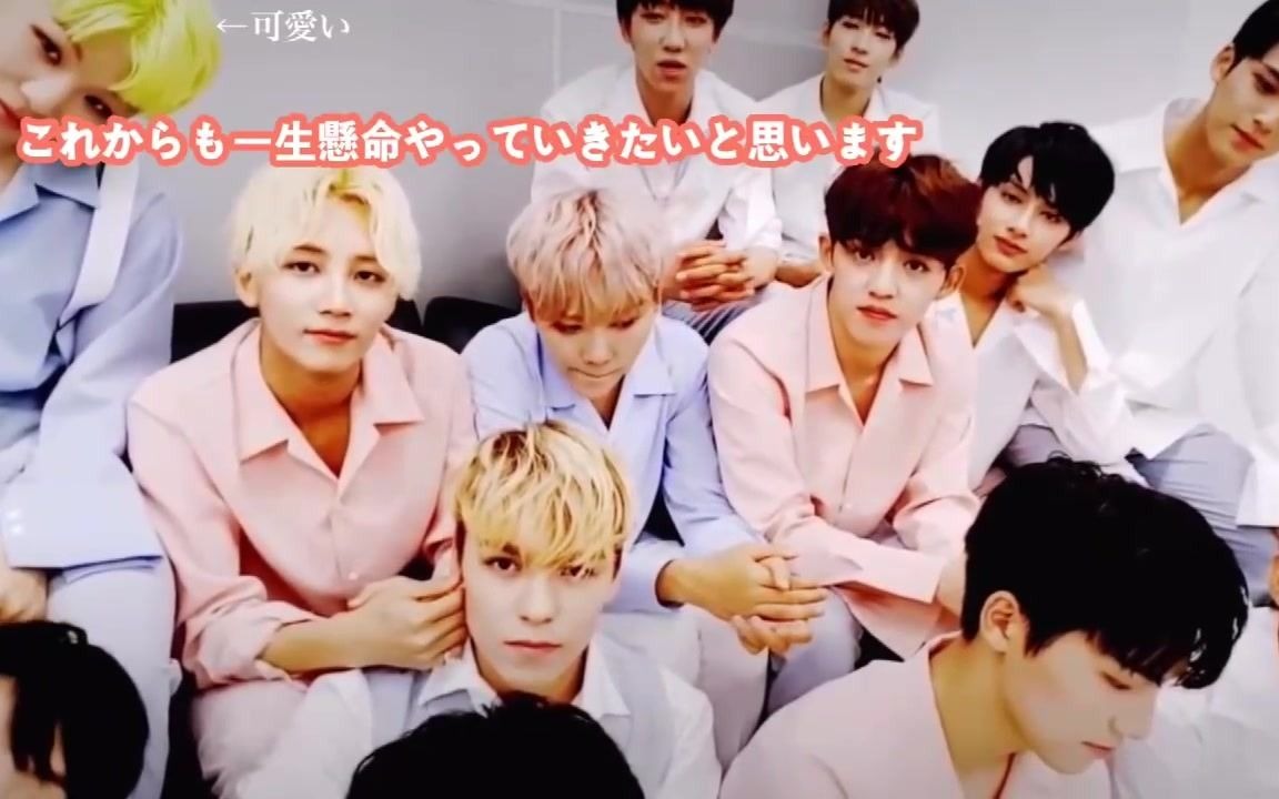 Tải video: 【seventeen】你说的是....