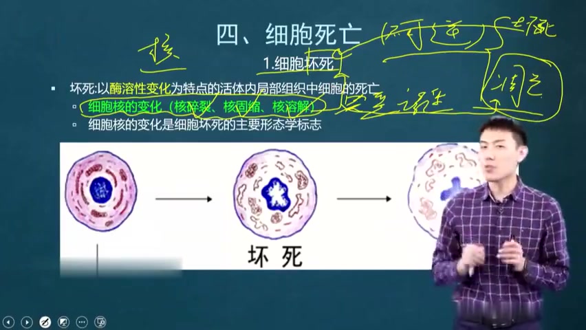 [图]【2024最新完整】徐琦外科学 徐琦病理学 徐琦诊断学 完整视频和讲义合集分享