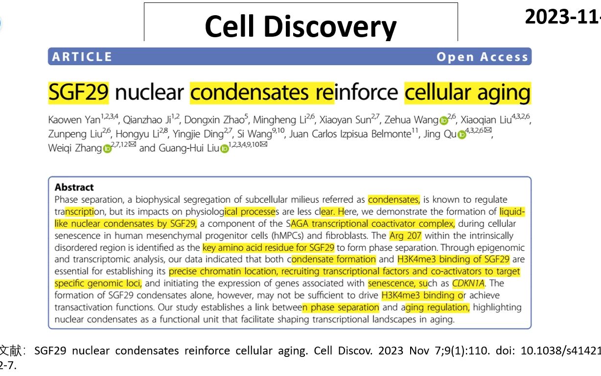 Cell Discovery—相分离和细胞衰老密切相关哔哩哔哩bilibili