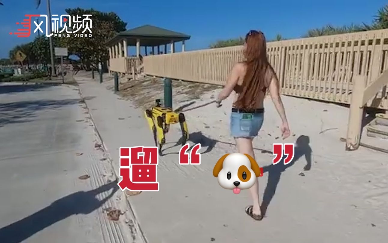 可以牵上街的机器宠物美国女子海滩遛机器狗引围观