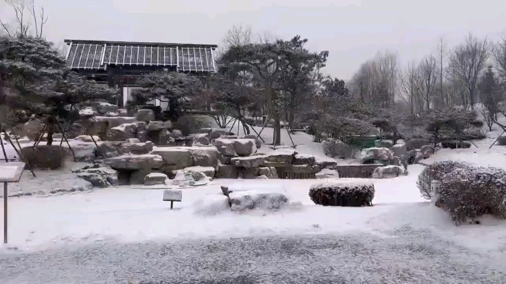 [图]北五环❄️❄️❄️润泽御府风雨送春归，飞雪迎春到，晓辉：13810276193