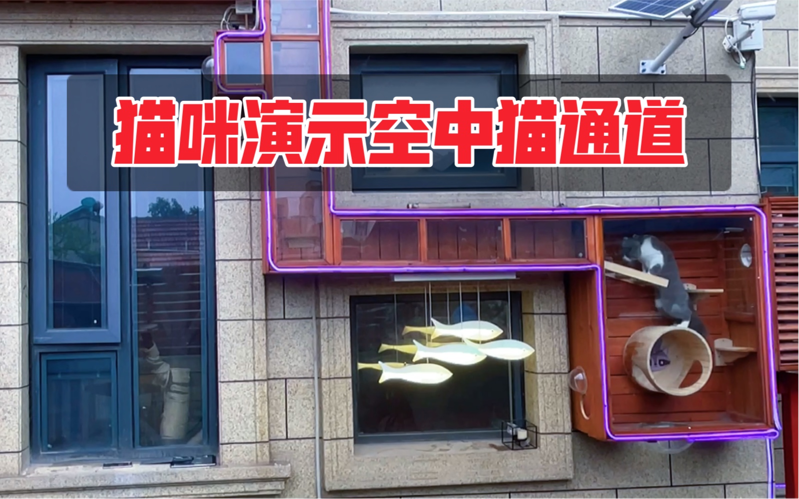 活动作品花了半天时间把猫通道更新清理了最后来看看成果吧结尾有惊喜