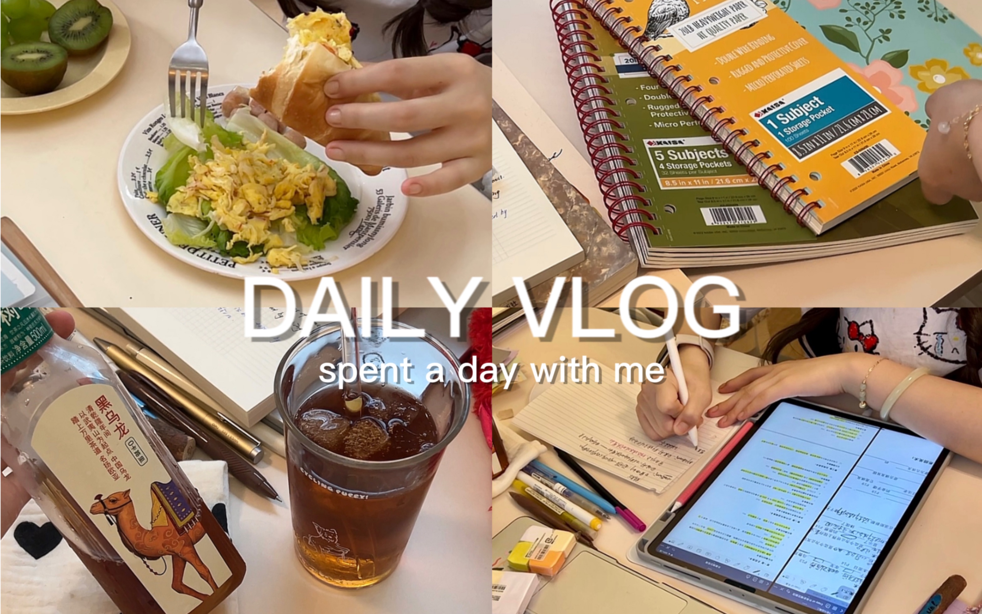 Pu s vlog 