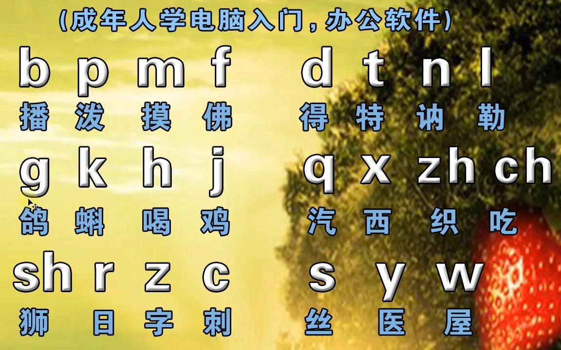 成人手机聊天打字,零基础学习拼音拼读教学视频哔哩哔哩bilibili