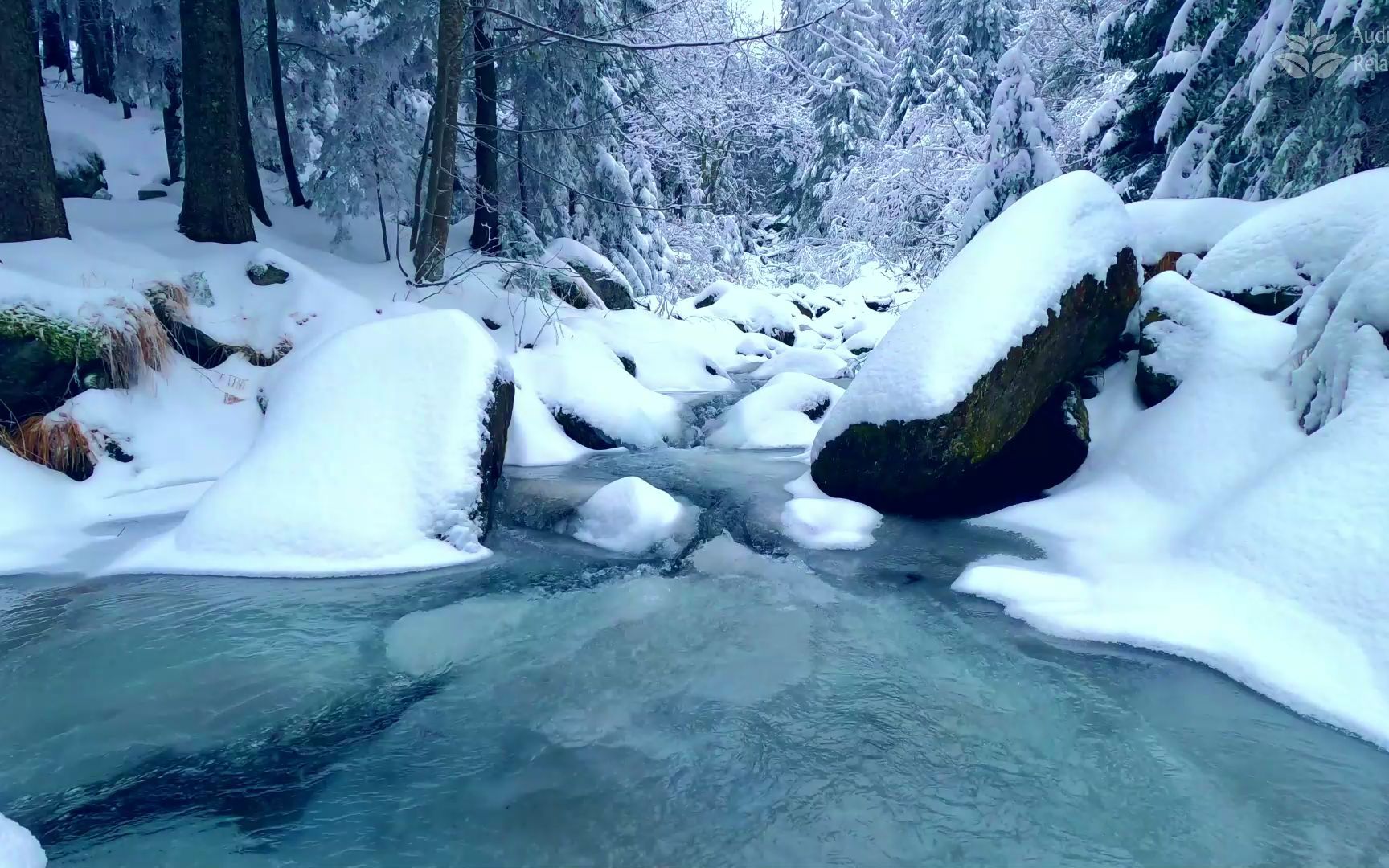 [图]冬季森林和小河。 白雪皑皑的风景。 冬天冒泡的溪流。 睡眠和冥想的背景噪音。