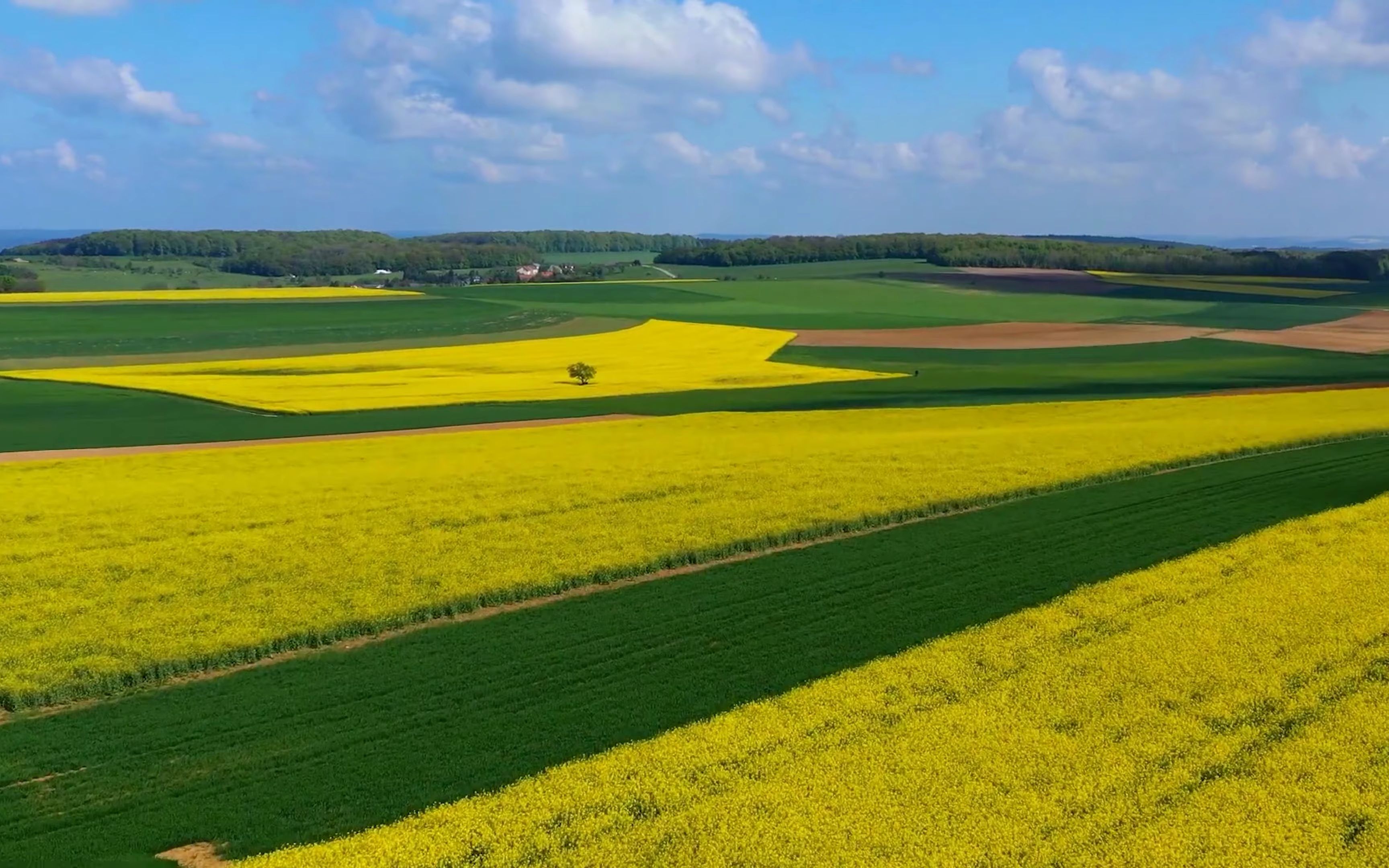 放松音乐与令人惊叹的美丽自然(4k
