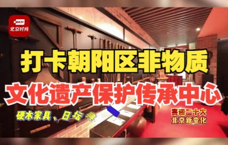 喜迎二十大 北京新变化 | 打卡朝阳区非物质文化遗产保护传承中心哔哩哔哩bilibili