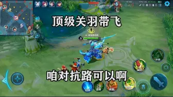 王者荣耀无情，顶级关羽带飞，咱对抗路可以啊