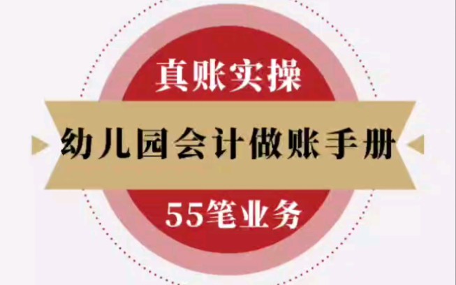 幼儿园会计如何做账?幼儿园会计账务处理应用案例,收藏备用哔哩哔哩bilibili