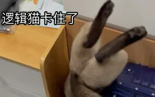 Скачать видео: 【卡Bug的逻辑猫】建议改为：逻辑错误