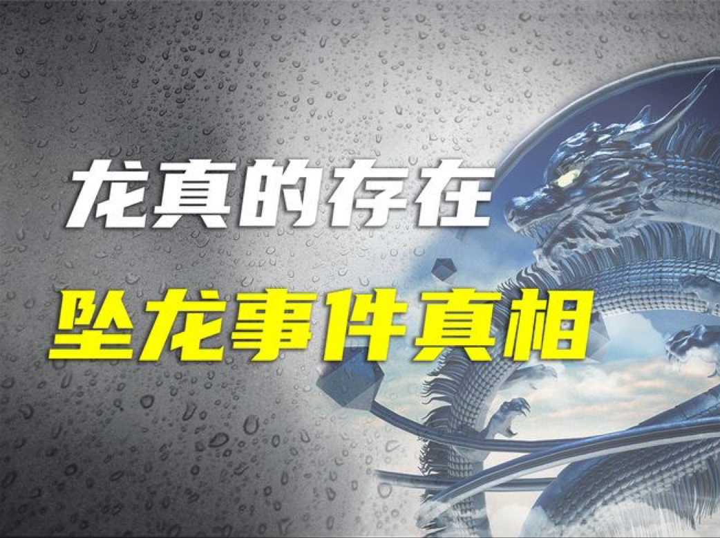 近代三次坠龙事件,数百人目击现场,细数历史上龙存在的证据?哔哩哔哩bilibili