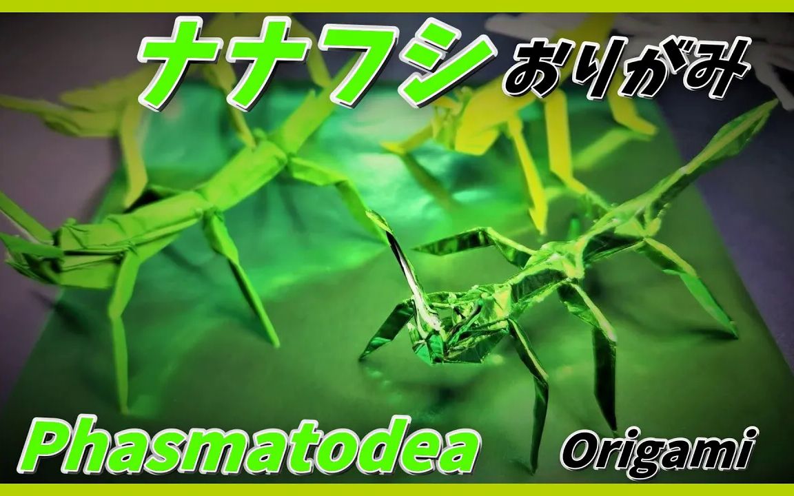 【虫房のカブクワおりがみ】竹节虫折纸教程ナナフシおりがみ(Phasmatodea origami)哔哩哔哩bilibili