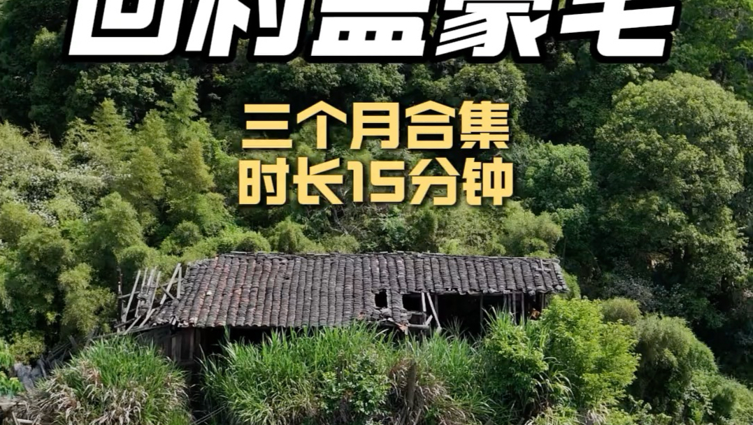 回村盖豪宅，15分钟记录全过程 一次看完