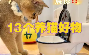 13个养猫好物神器，超提升铲屎官幸福感！