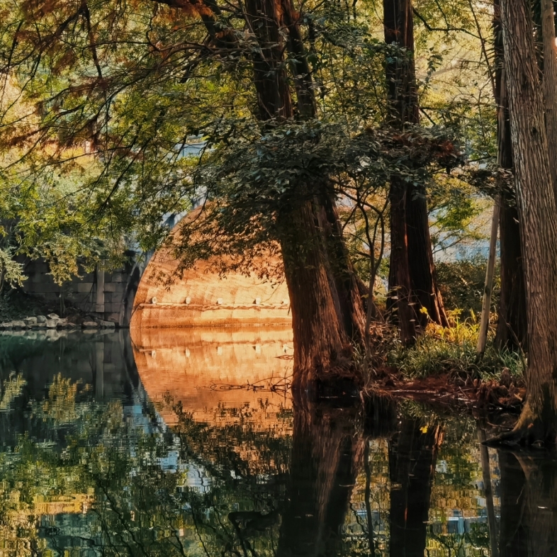 [图]西湖的冬天太美了｜苏堤，花港观鱼，浴鹄湾，乌龟潭