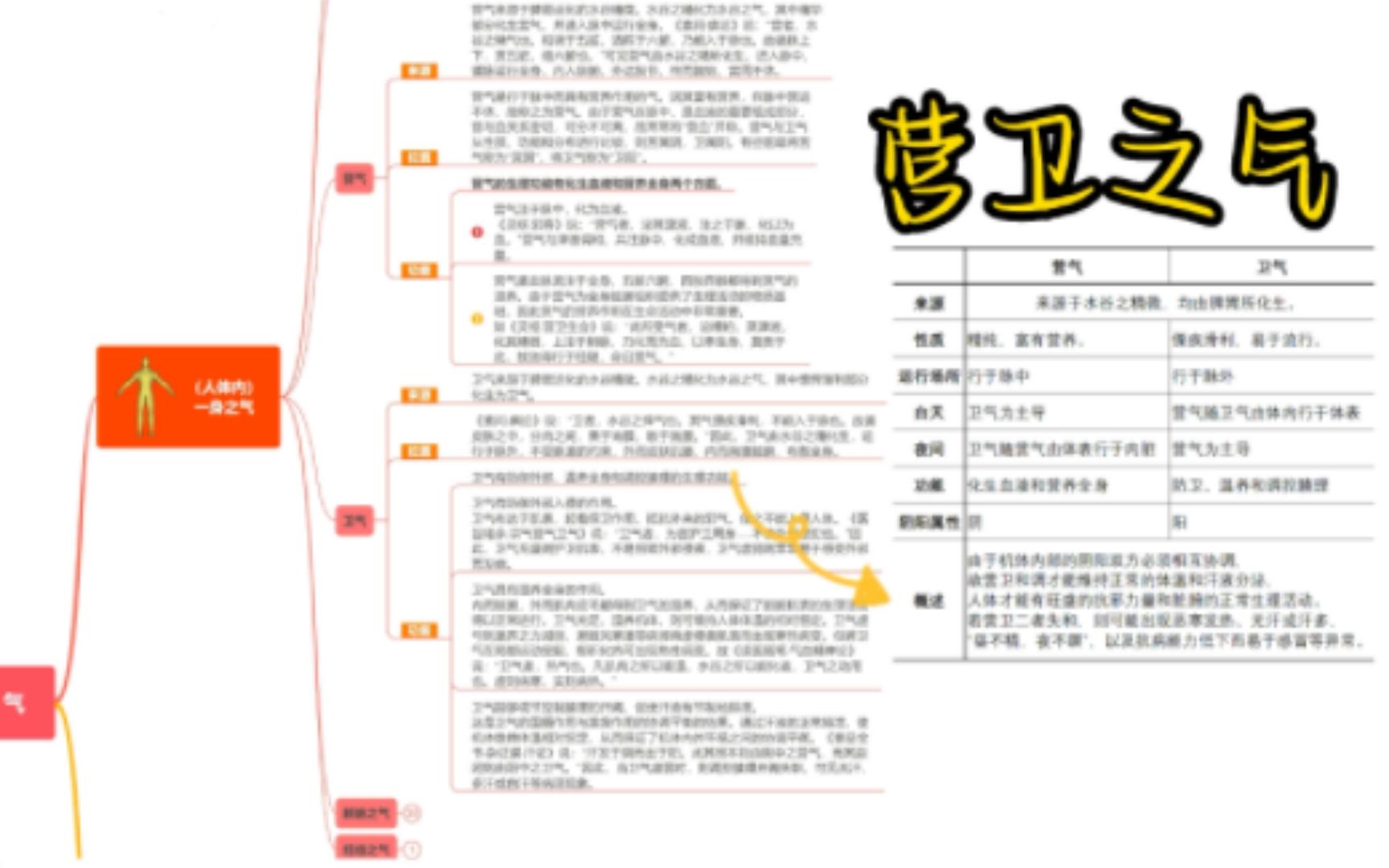 【气七】中医所说的“营气”与“卫气”的区别是什么?哔哩哔哩bilibili