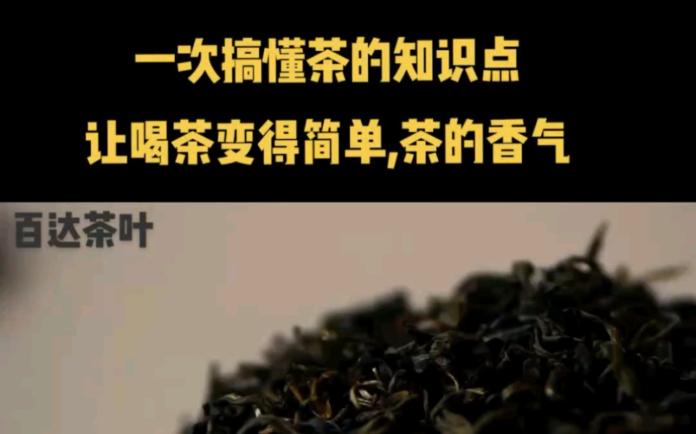 茶叶新手入门:一次搞懂茶的知识点,让喝茶变得简单,茶的香气哔哩哔哩bilibili