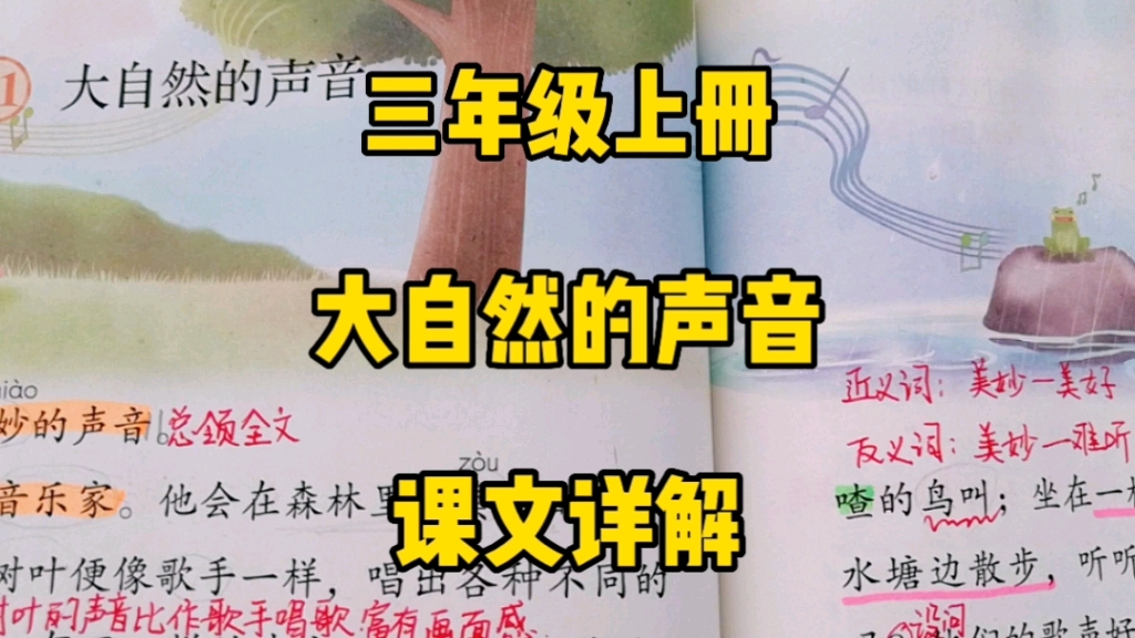 三年级语文上册:《大自然的声音》课文详解,一起来听虫鸣鸟叫微风流水交织而成的大自然奏响曲吧!哔哩哔哩bilibili