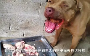 Video herunterladen: 再凶狠的斗犬，面对收狗贩子三招都会变老实