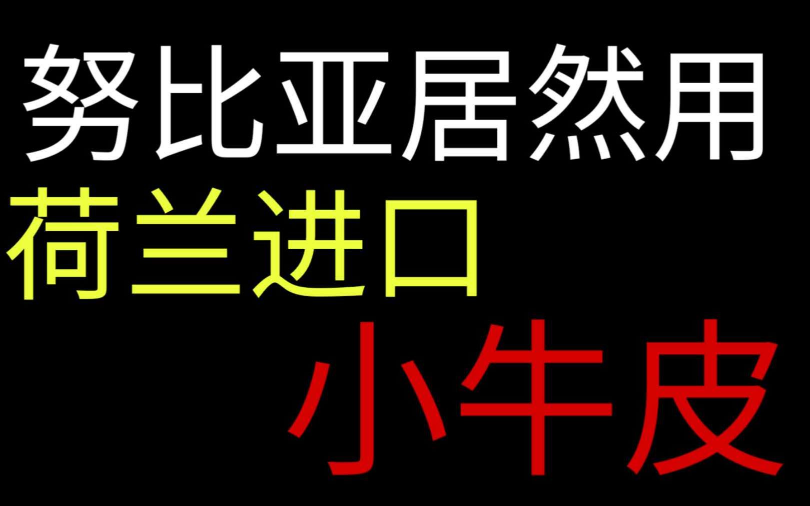 努比亚荷兰进口小牛皮?9102年了会带给我们什么惊喜哔哩哔哩bilibili