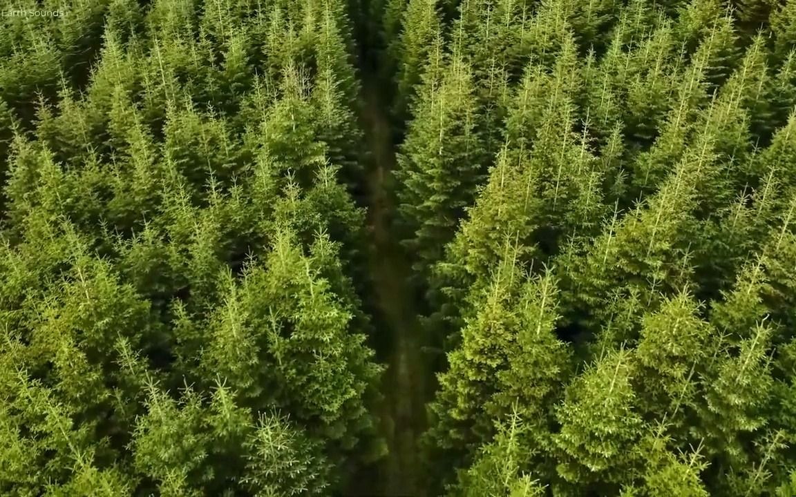 catshark猫鲨美型男性人物插画班