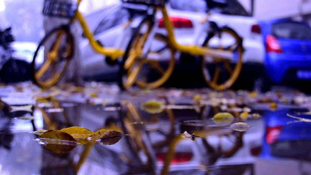 [图]找不同，春雨与秋雨有什么不同？